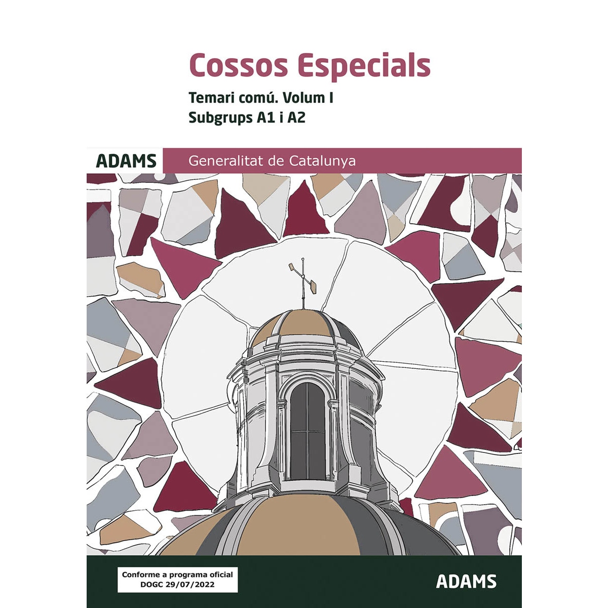 Temari Comú Cossos Especials I. Subgrups A1 i A2 (Capa mole) 1