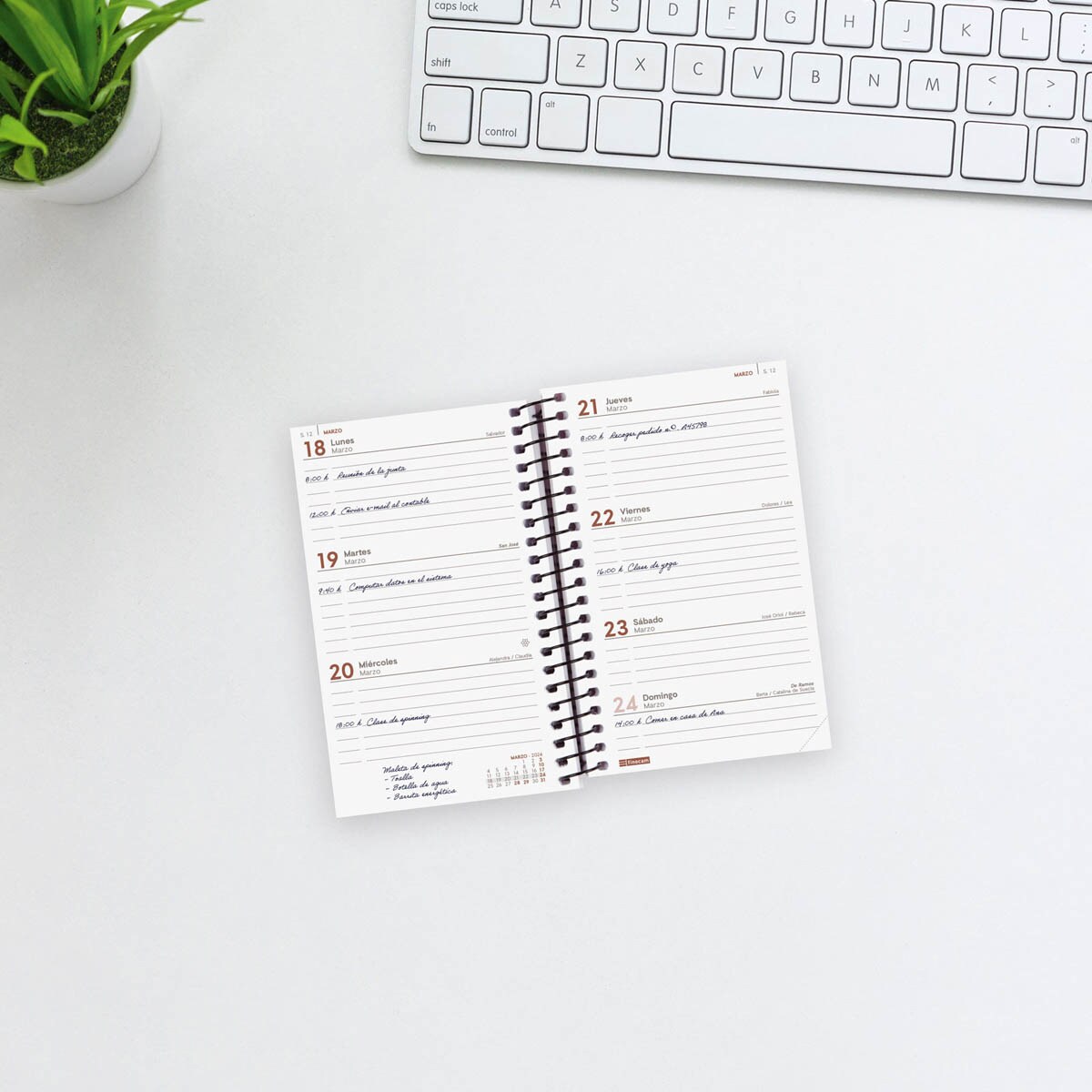 Agenda año 2024 Espiral Opaque E3 - 79x127 semana vista horizontal Finocam azul Azul-3