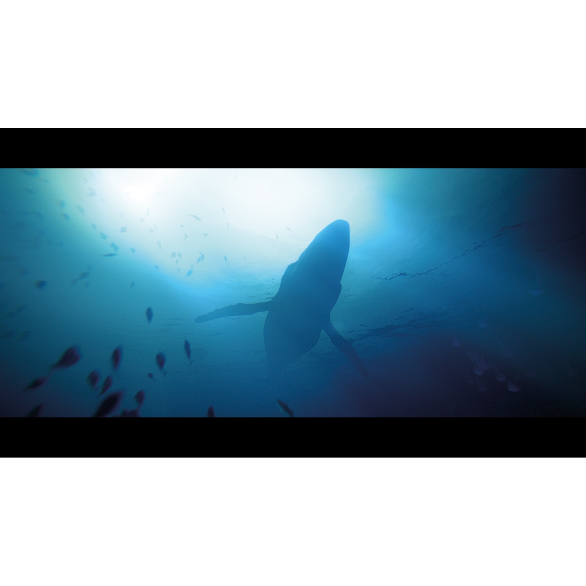 Under The Waves PS4 : les offres