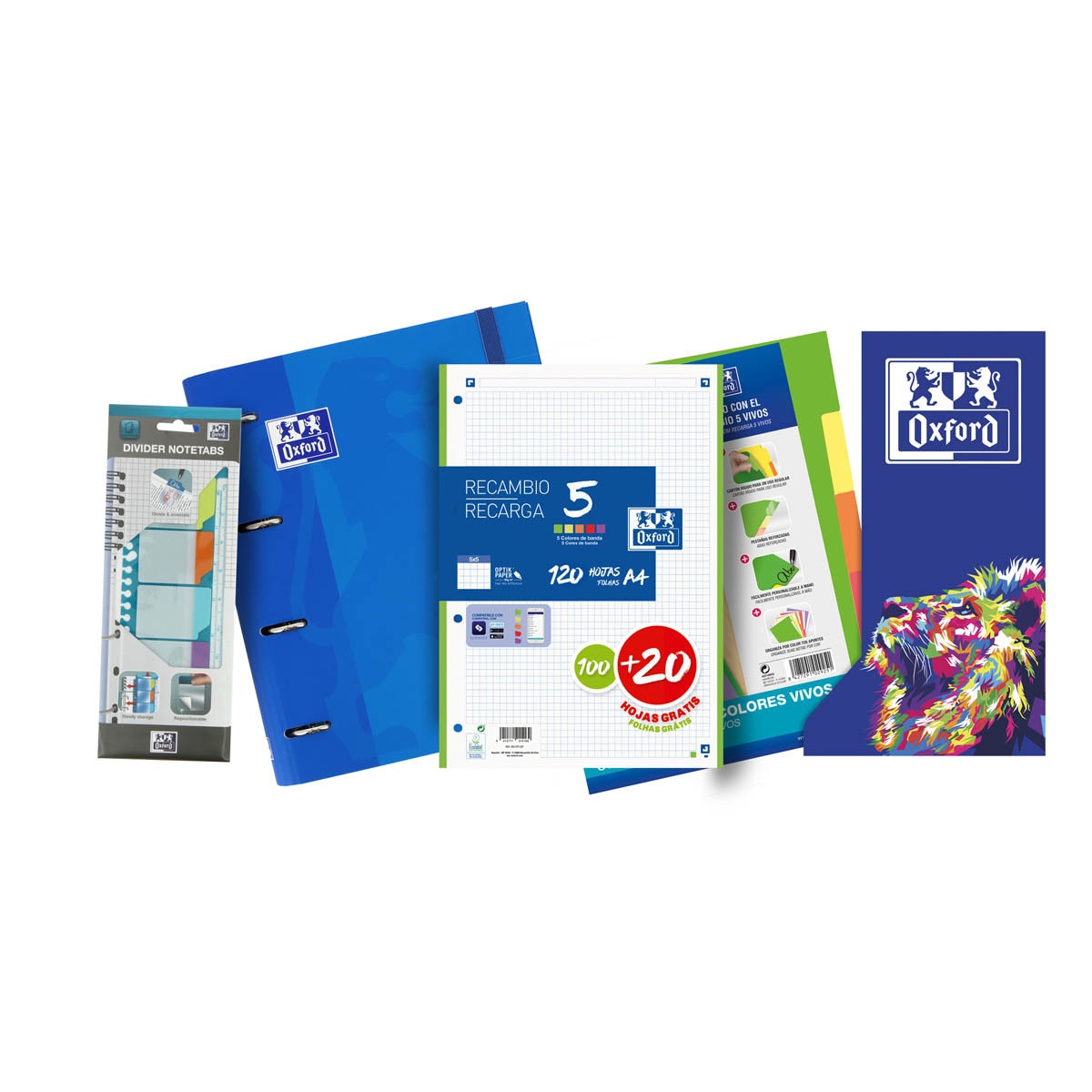 Pack especial archivador Europeanbinder A4+ con recambio adicional, separadores y regla con pestañas Oxford vivos surtido Surtido-2