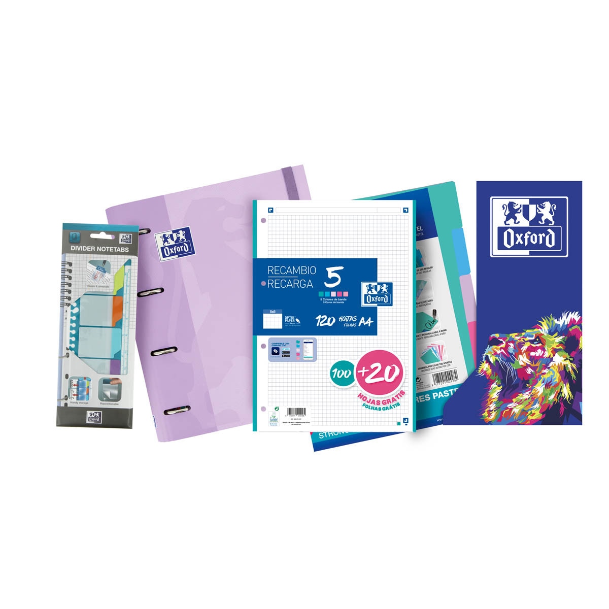 Pack especial archivador Europeanbinder A4+ con recambio adicional, separadores y regla con pestañas Oxford pastel surtido Surtido-2