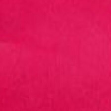 775 Pink Petuni