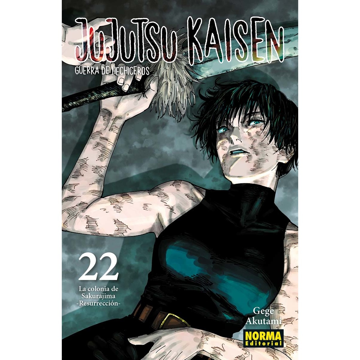 Imagen 0 de JUJUTSU KAISEN 22