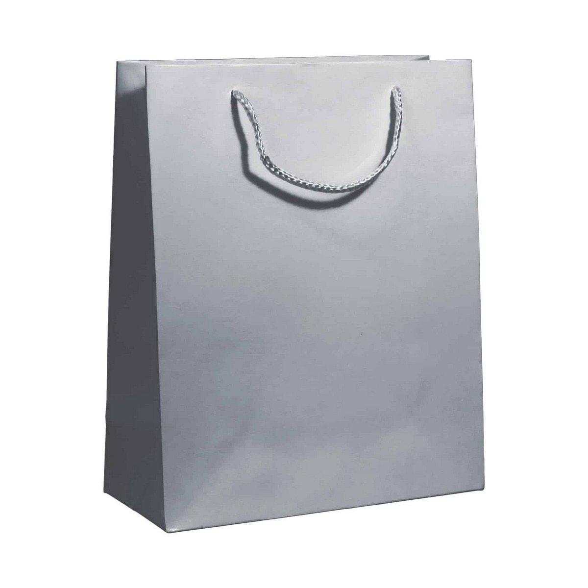 Imagem 0 de Saco de Papel Asa Cordao Lux 210g Prata 26x12x32cm