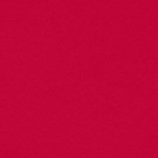 515 Lieblings-Mensch