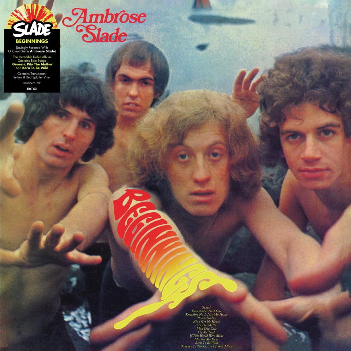 Beginnings (LP-Vinil) 1
