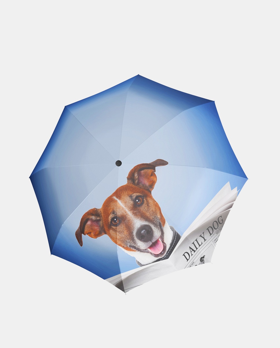 Parapluie pliant ouure et fermeture original Art Daily Dog