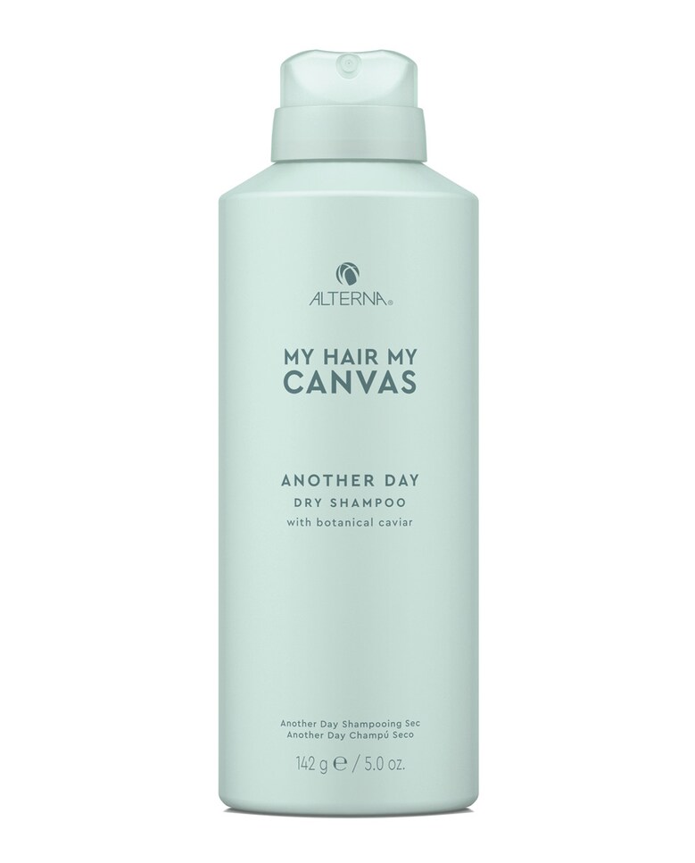 Champú Mhmc Another Day Dry Shampoo 150 ml Alterna 1