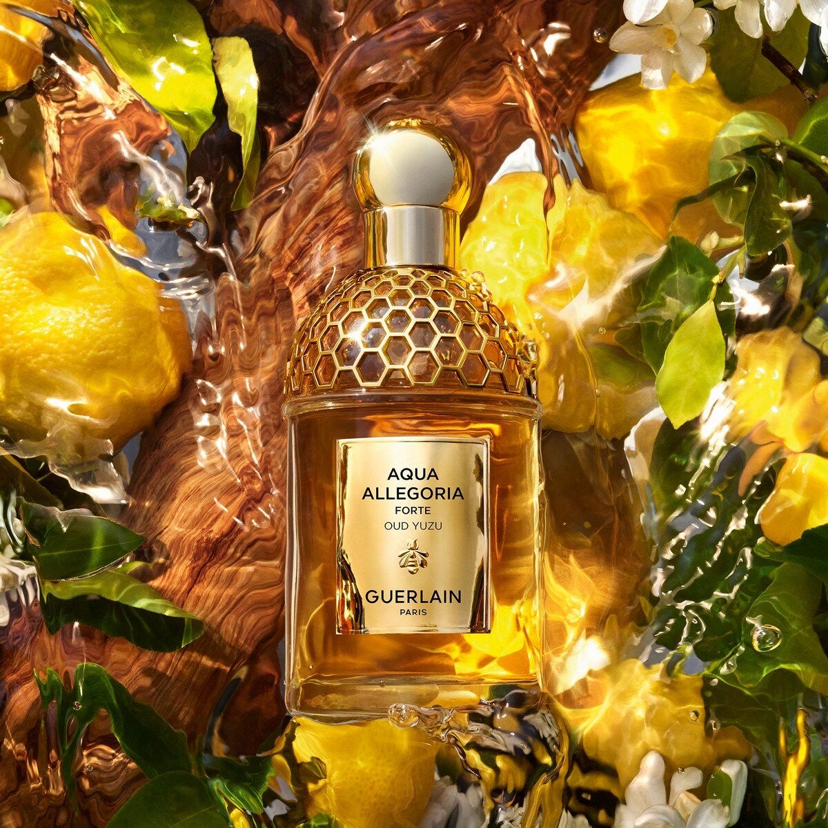 Aqua Allegoria Forte Oud Yuzu Eau de Parfum - 125 ml 3