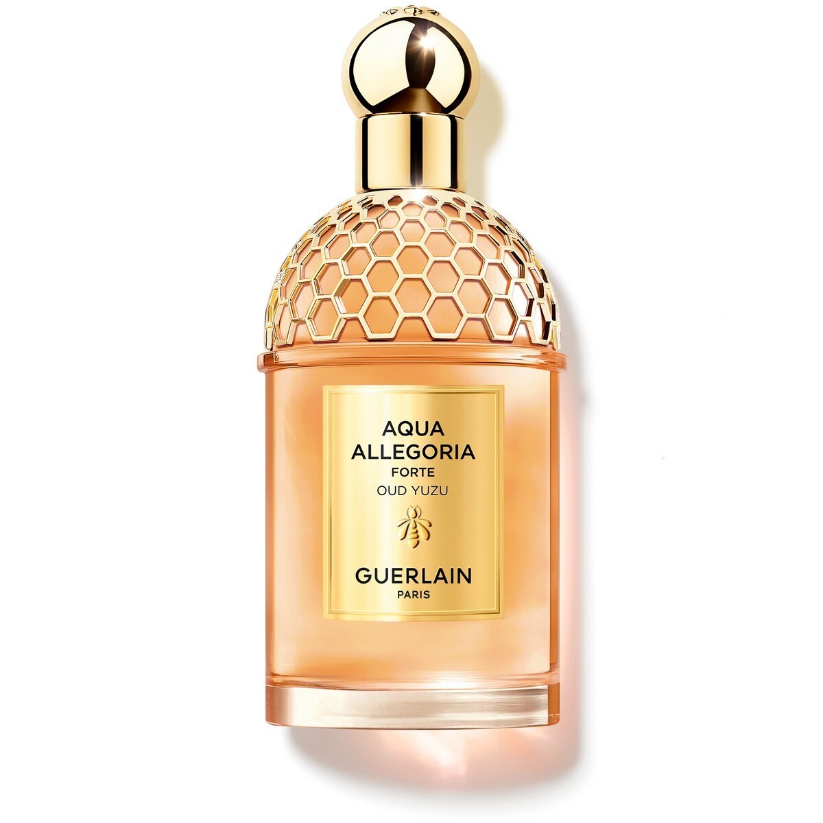Aqua Allegoria Forte Oud Yuzu Eau de Parfum - 125 ml 1
