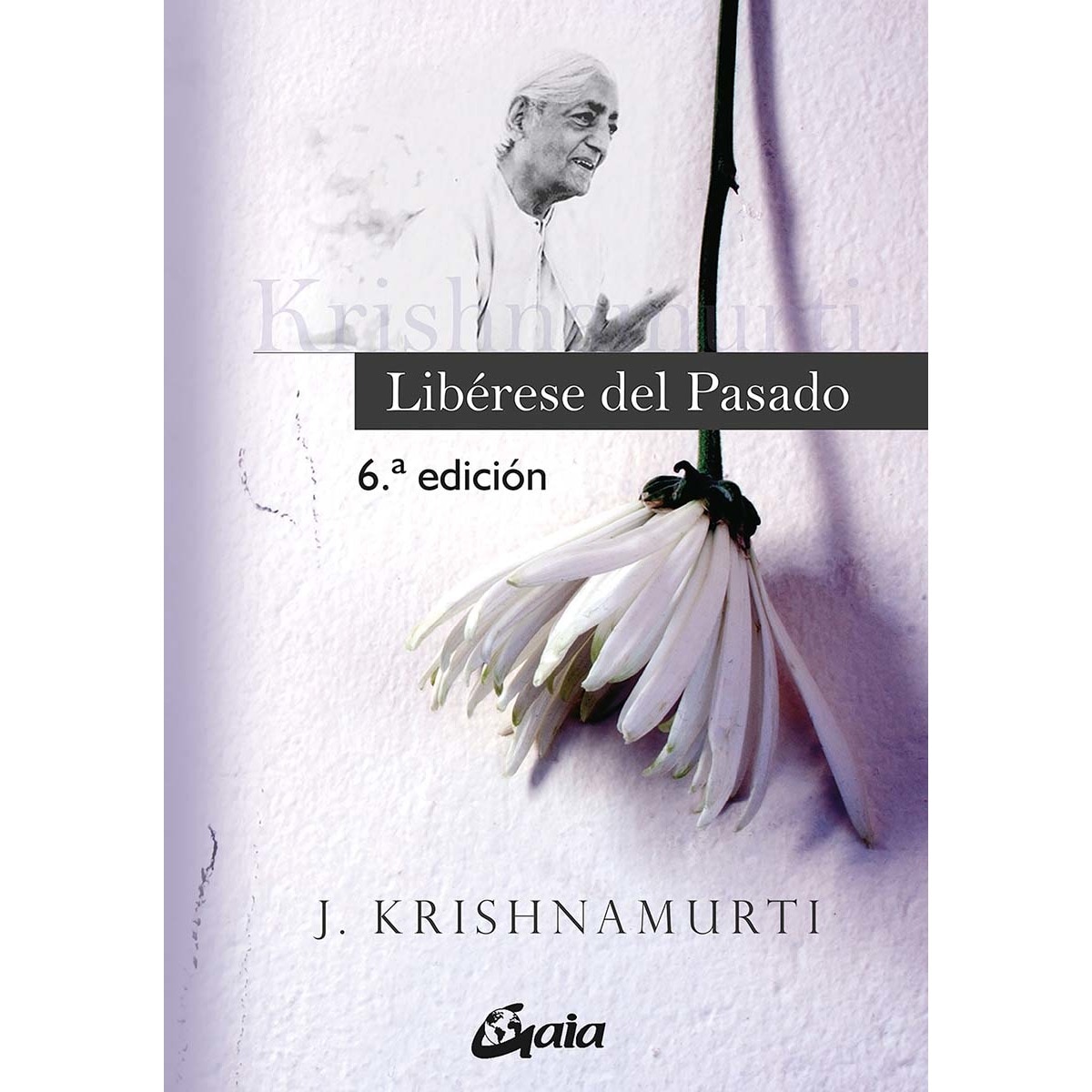 Libérese del pasado (Capa mole com abas) 1