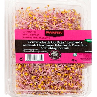 Rebentos de Couve Roxa embalagem 95 g - Fanya
