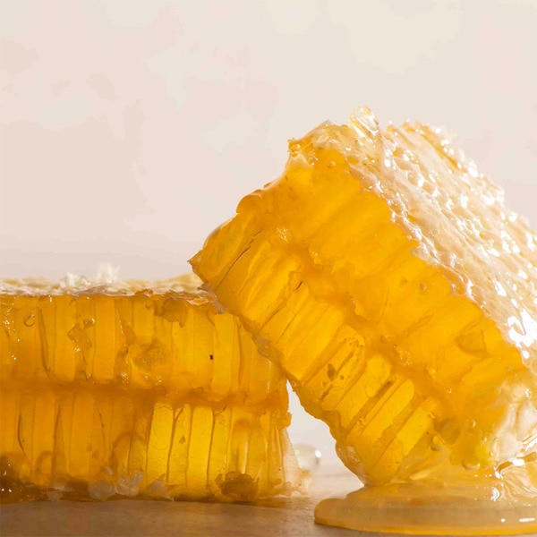 honeycomb case 160 g