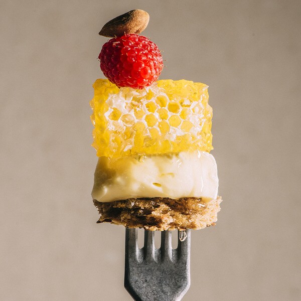 honeycomb case 160 g