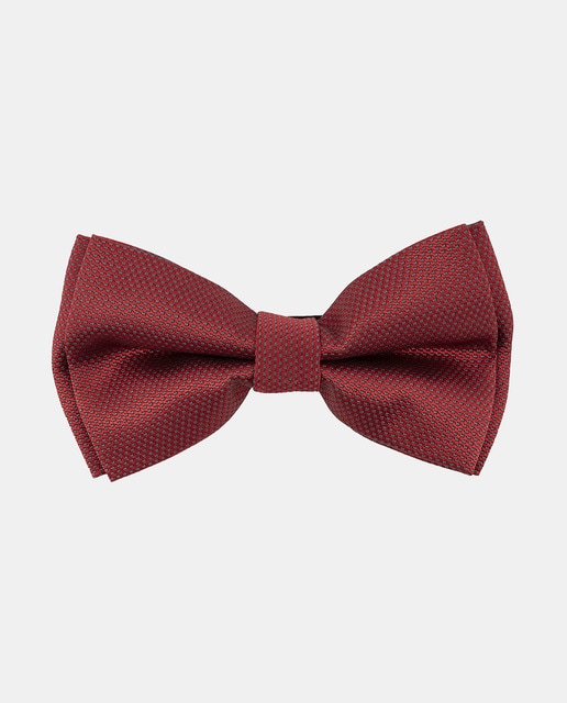 Imagen 0 de Pajarita micro detalle