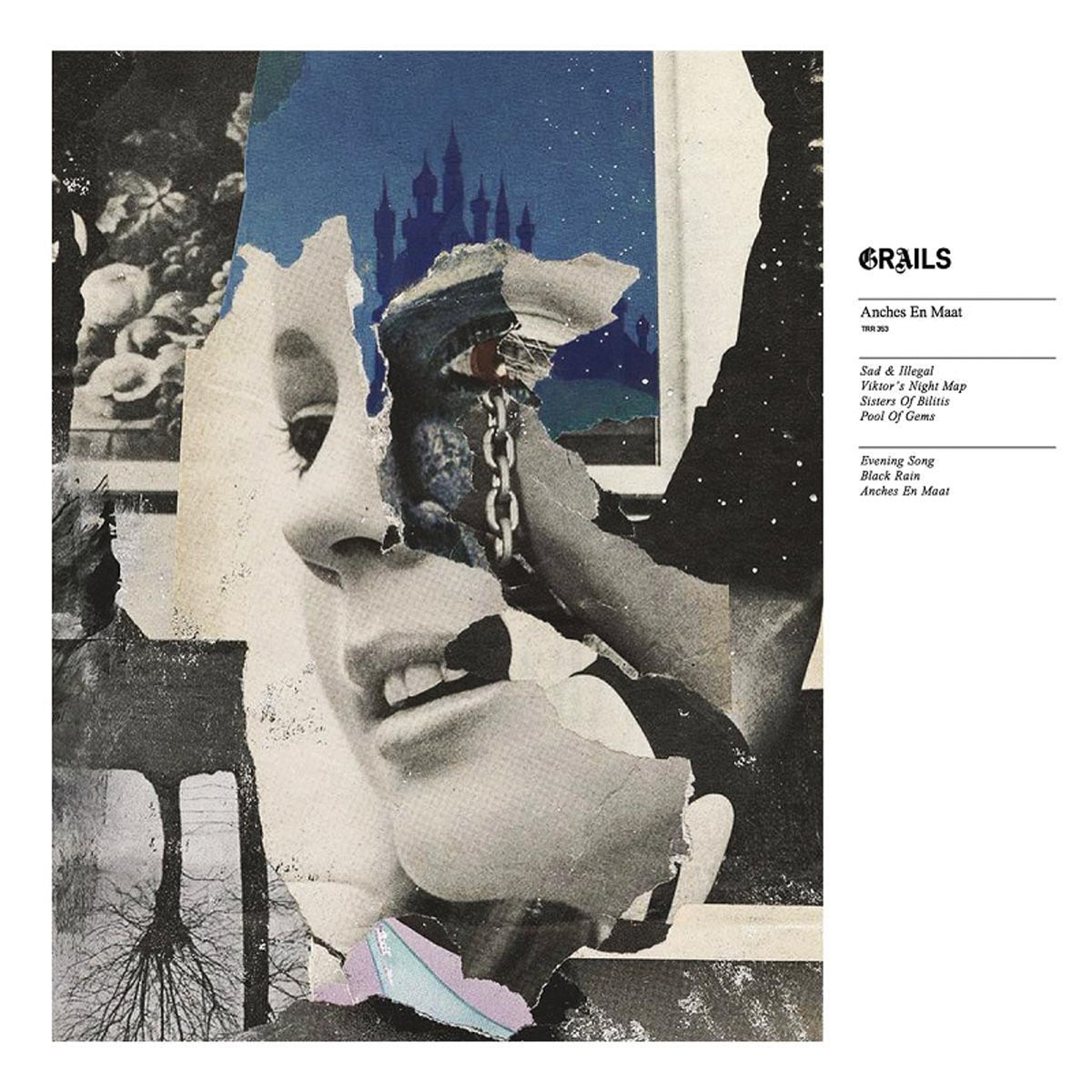 Imagem 0 de Anches en maat (Edição color) (LP-Vinil)
