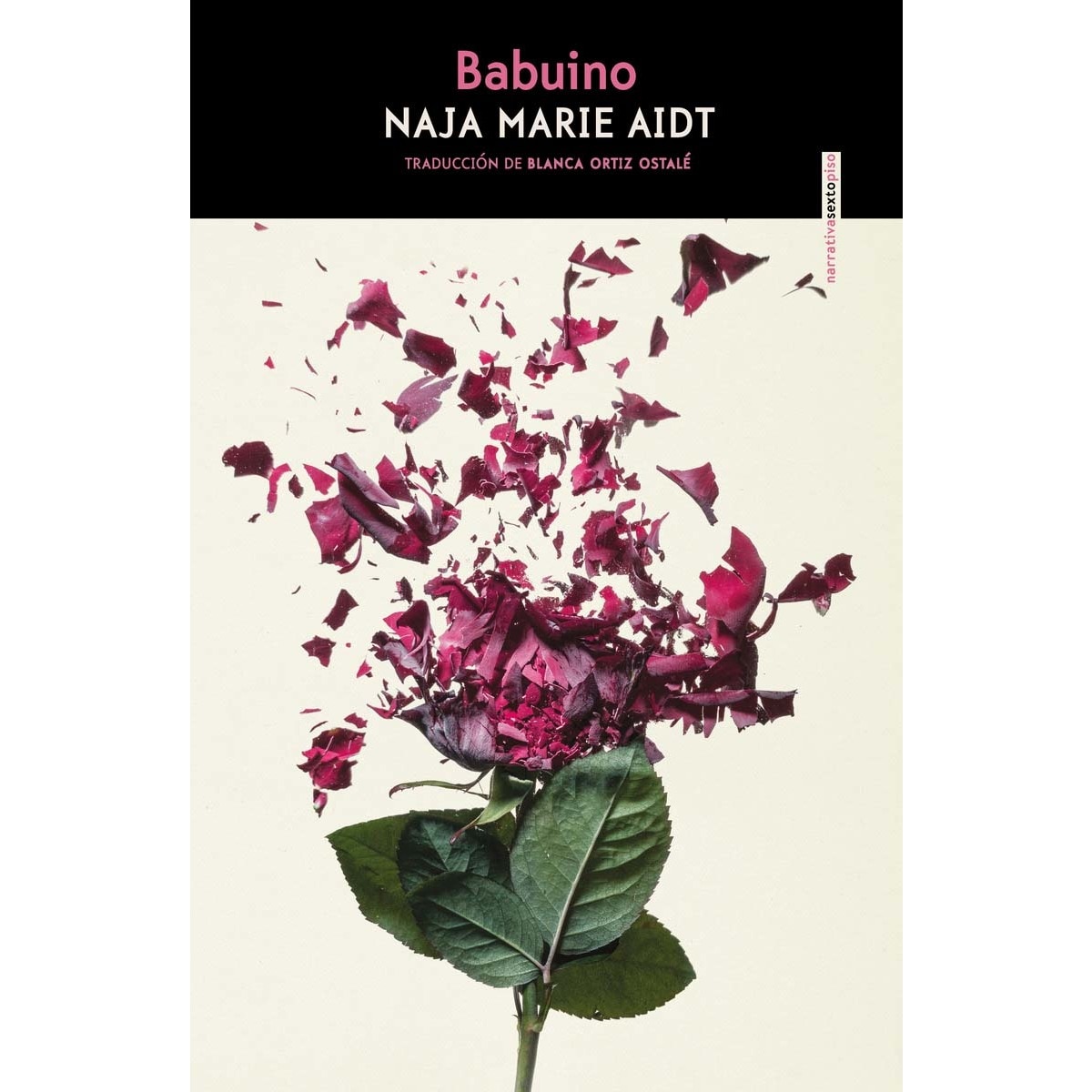 Babuino (Capa mole com abas) 1