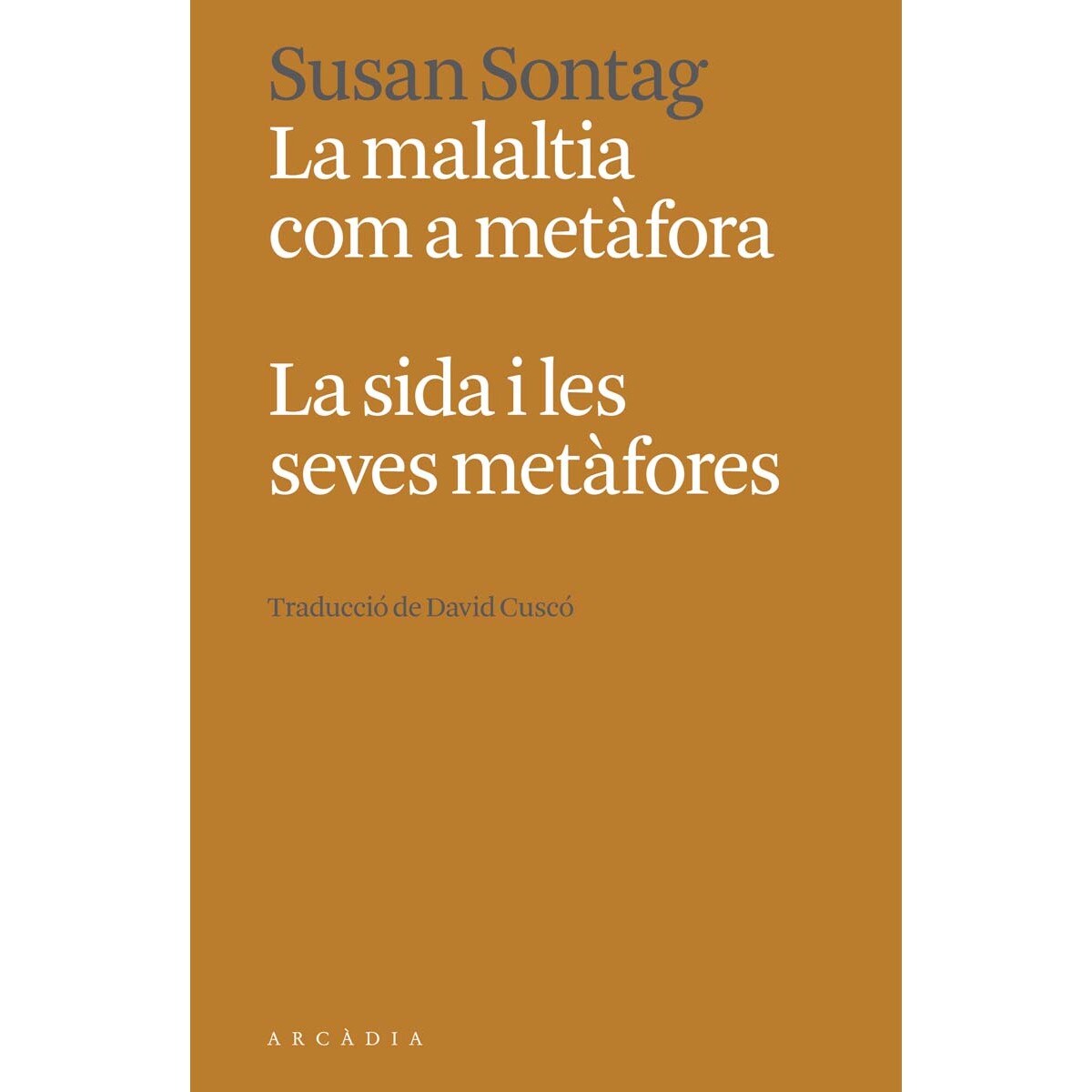 Imagem 0 de La malaltia com a metàfora. La sida i les seves metàfores