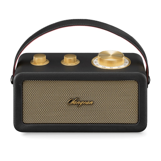 Imagen 0 de Radio portátil Sangean SRA101BG FM, Bluetooth