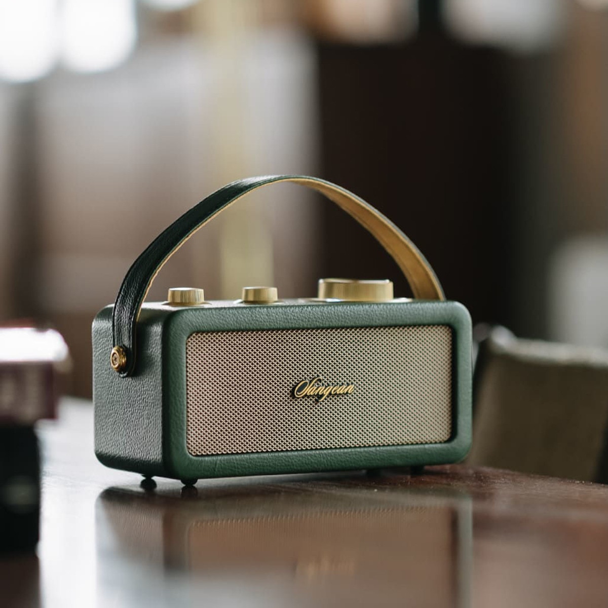 Rádio Portátil Sangean SRA101BG FM, Bluetooth - Verde Verde/Dourado-4