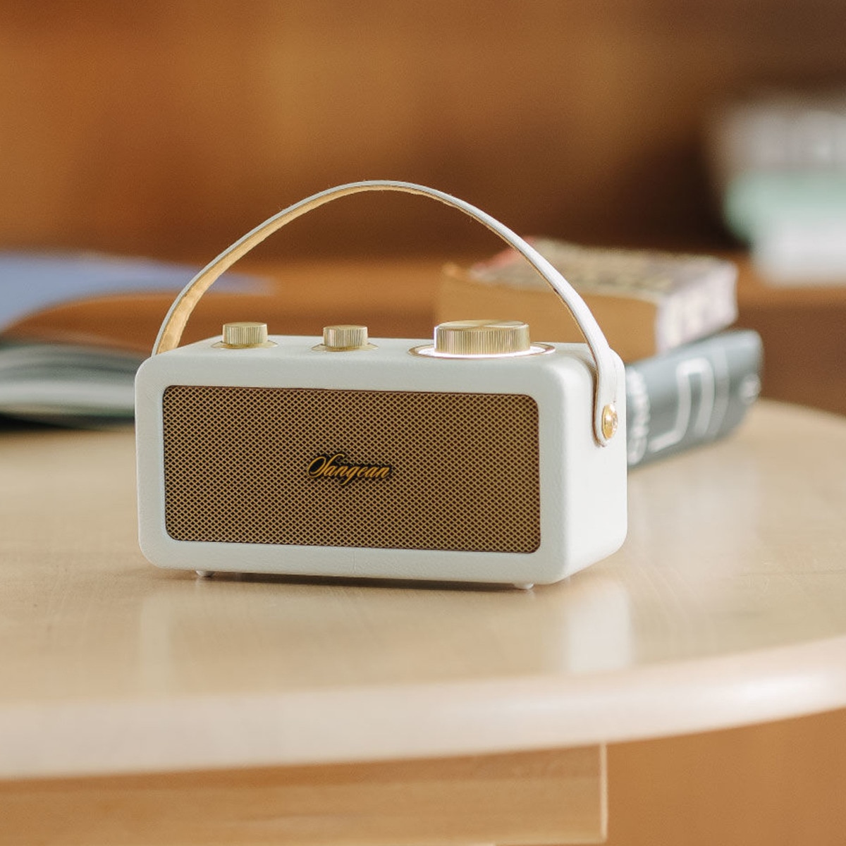 Radio portátil Sangean SRA101IG FM, Bluetooth Marfil-4