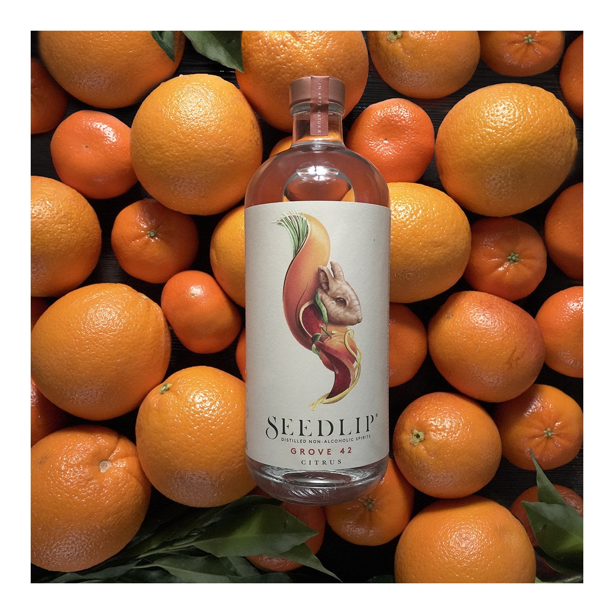 Seedlip Grove 42 Citrus sin alcohol 3
