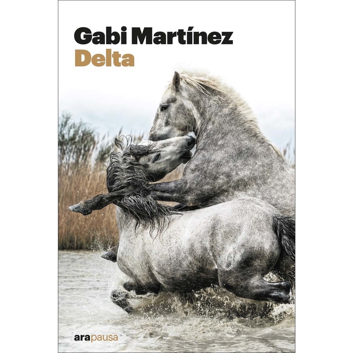 Delta (Capa mole com abas) 1
