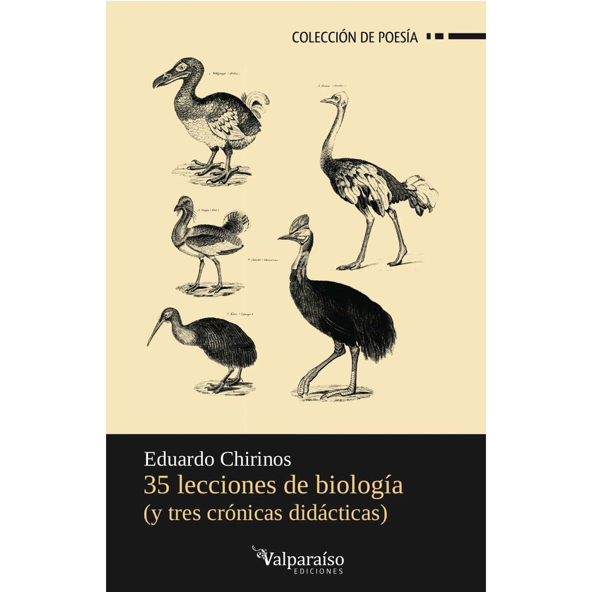 35 lecciones de biología (y tres crónicas didácticas) (Capa mole com abas) 1
