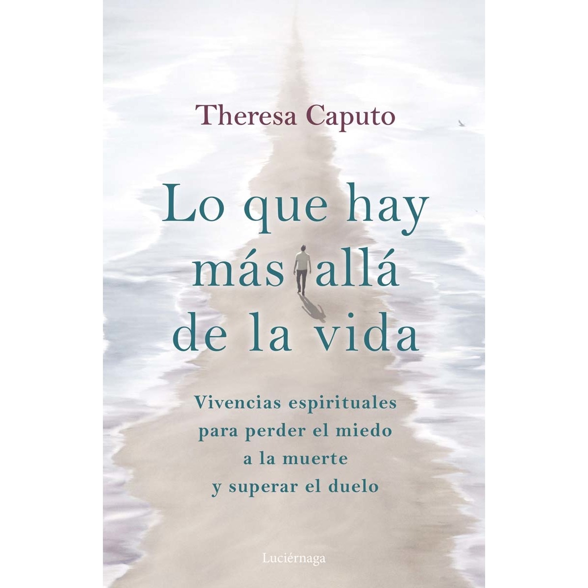 Imagem 0 de Lo que hay más allá de la vida (Capa mole com abas)