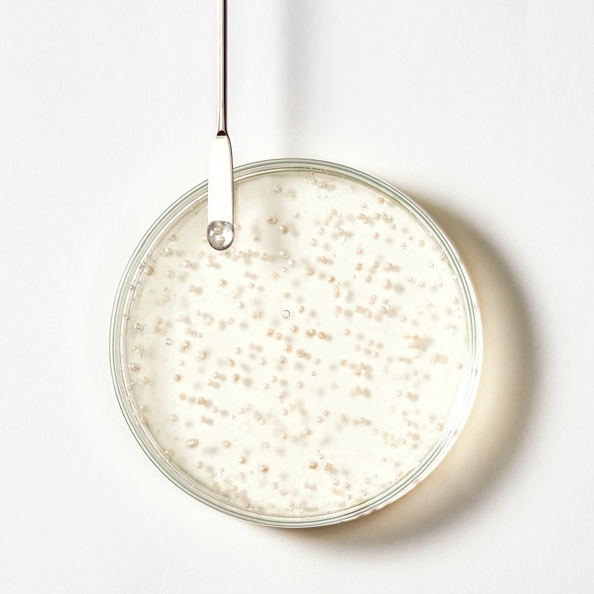 Champô Triphasic Ed. Lim. 250ml René Furterer 3