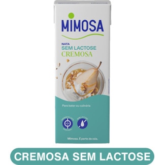 Nata sem Lactose Cremosa embalagem 200 ml - Mimosa