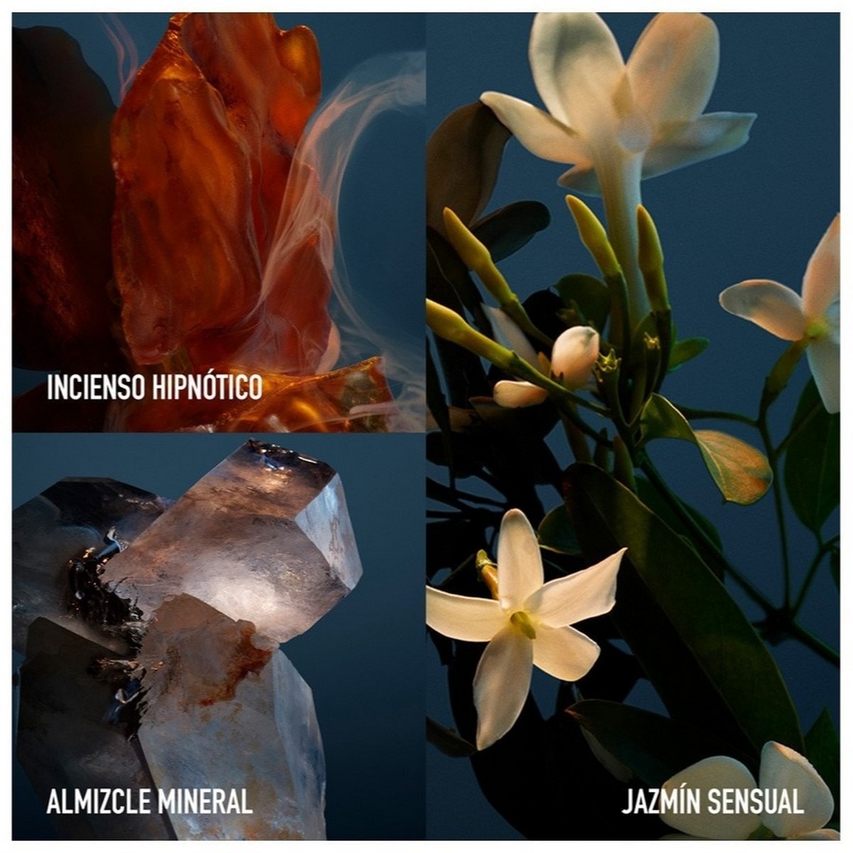 Fame Parfum Eau de Parfum 3