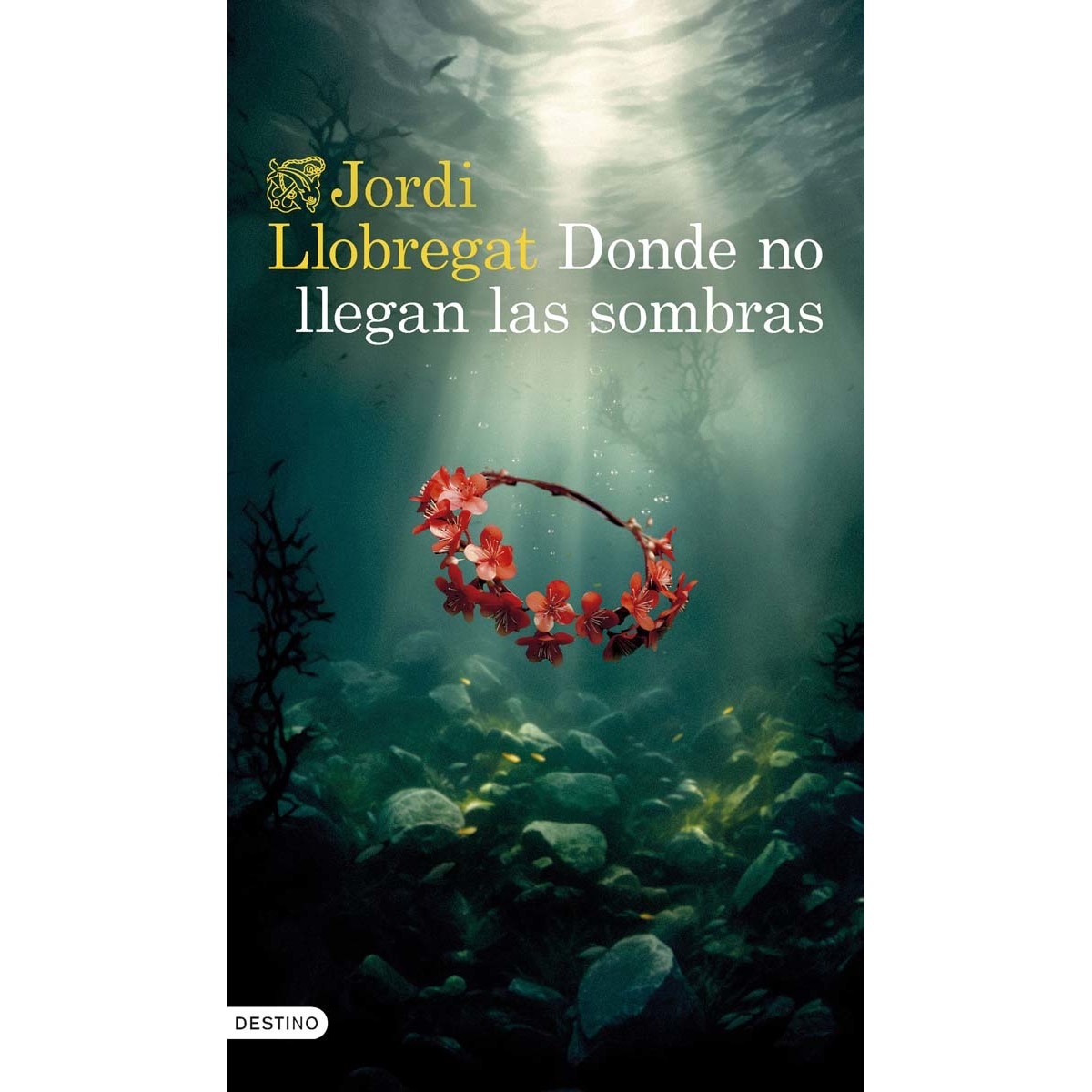 Donde no llegan las sombras (Capa mole com abas) 1