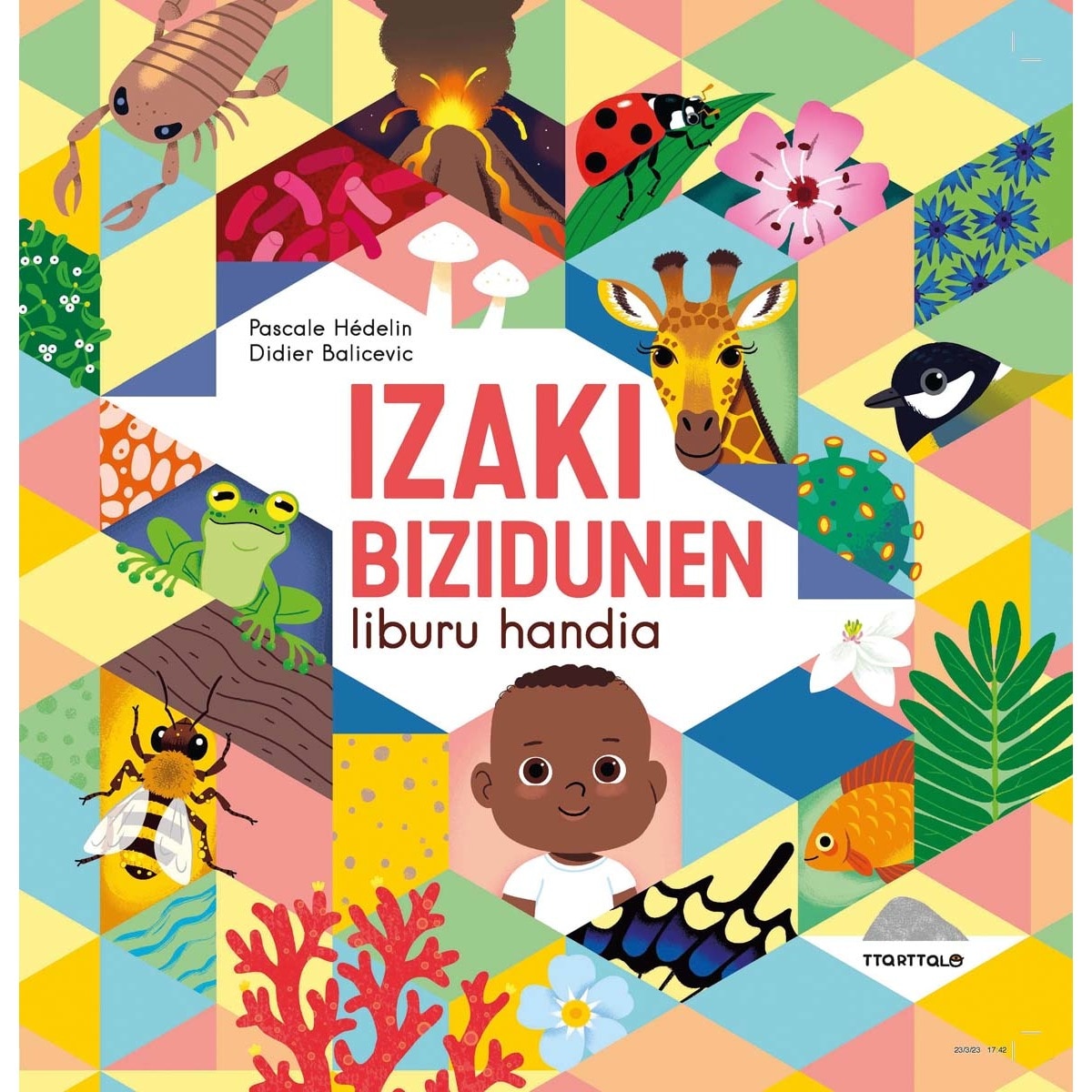 Imagem 0 de Izaki bizidunen liburu handia (Capa dura)