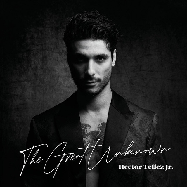 Imagen 0 de The grat unknown (LP-Vinilo)