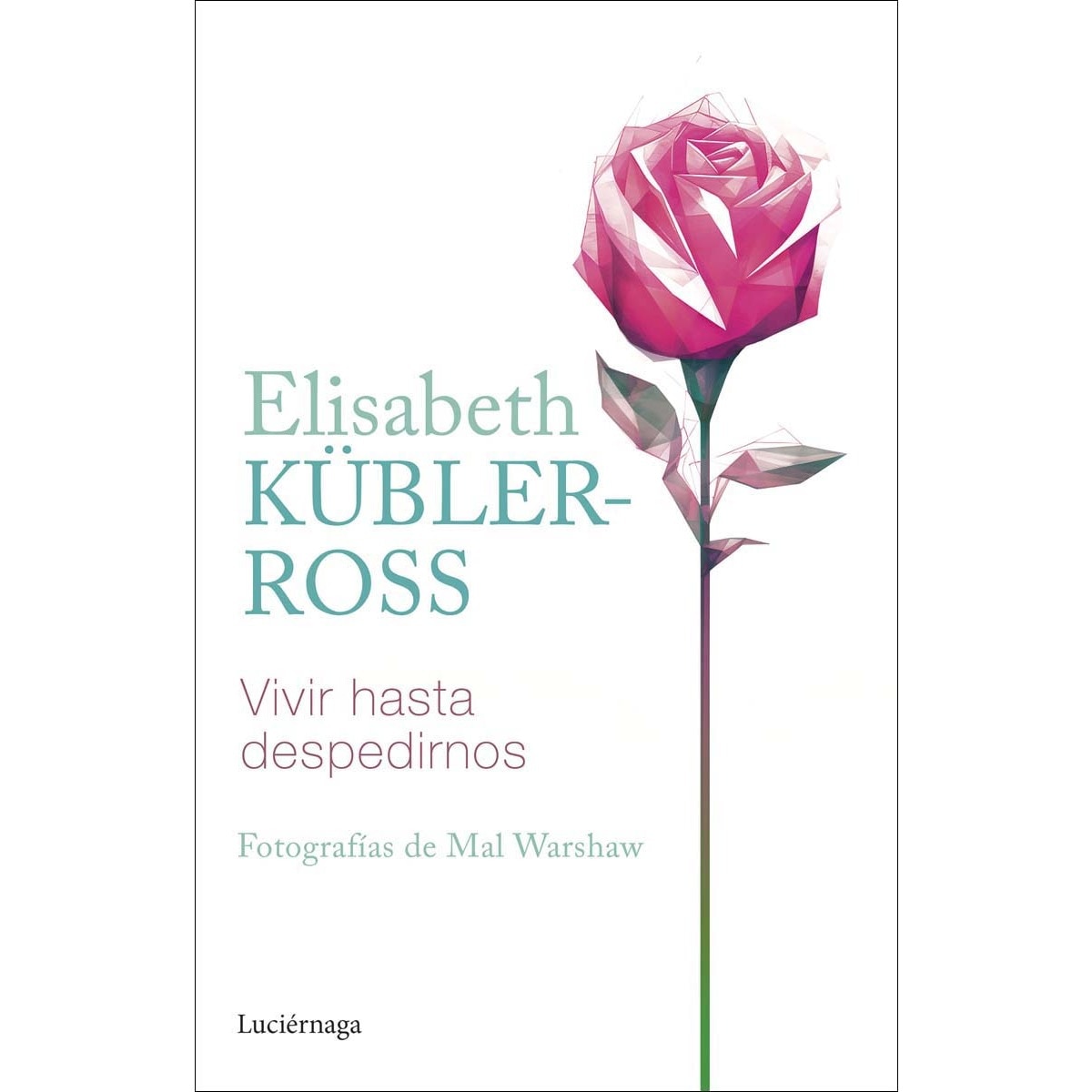 Imagem 0 de Vivir hasta despedirnos (Capa mole com abas)