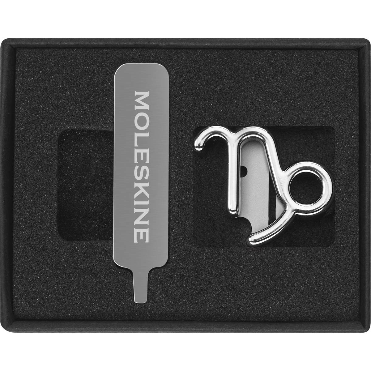 Pin signo del zodíaco Capricornio Moleskine plateado Plata-1