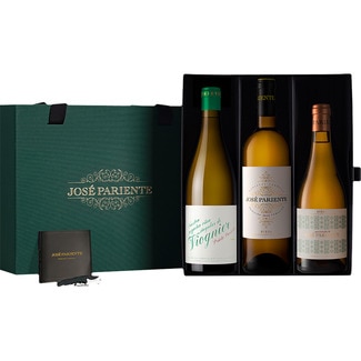 vino blanco DO Rueda Prieto Pariente Viogner vino blanco VT Castilla Leon 2 botellas 75 cl + Apasionado vino blando DO Rueda botella 50 cl+ sacacorchos - Jose Pariente