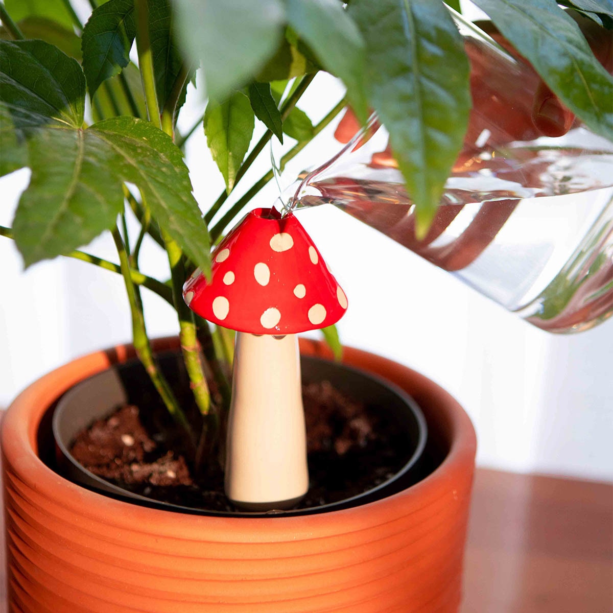 Sistema de Rega Automática Amanita 4