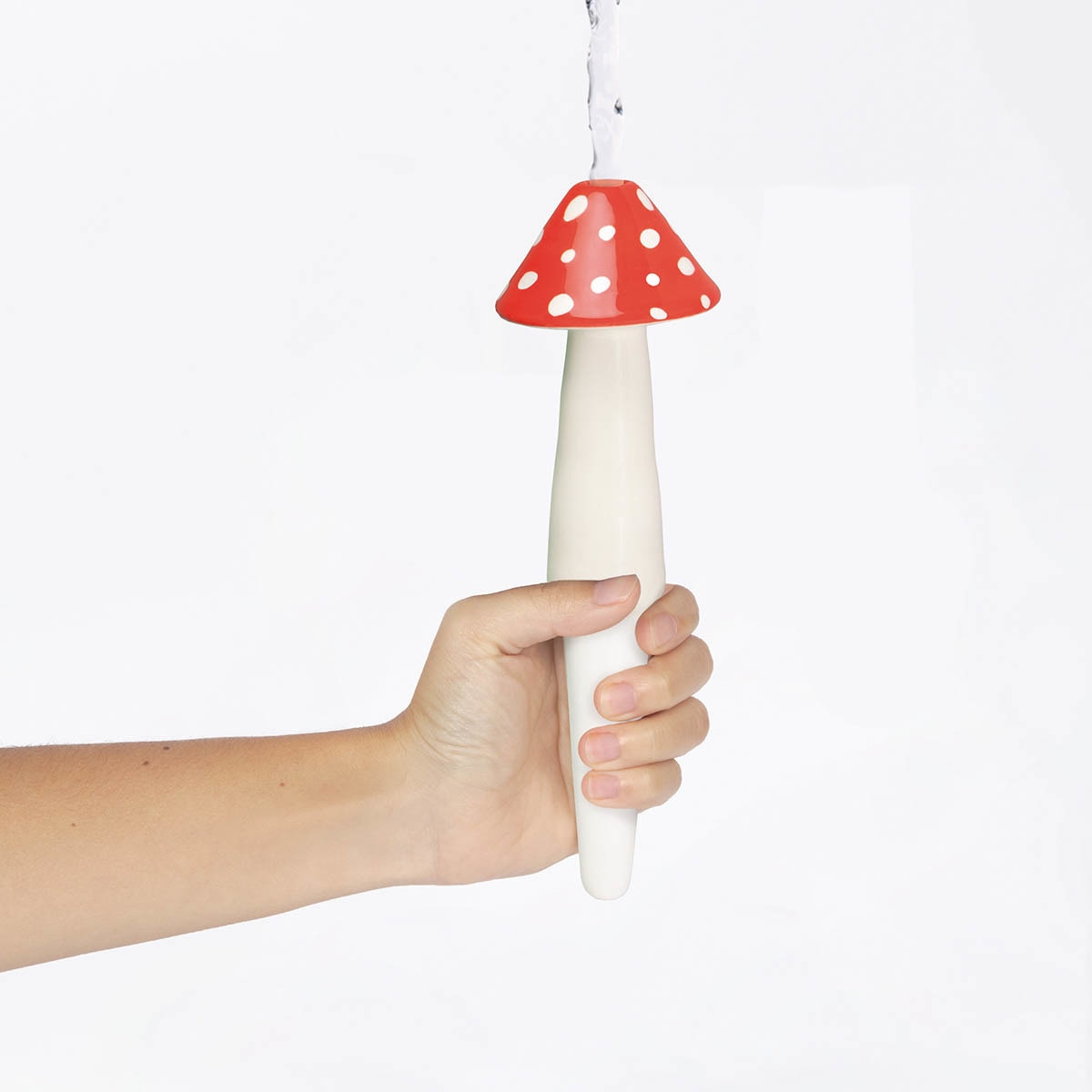 Sistema de Rega Automática Amanita 3