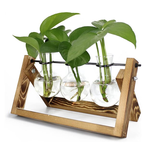 Imagem 0 de Hydra: Estação de Propagação para 3 Plantas