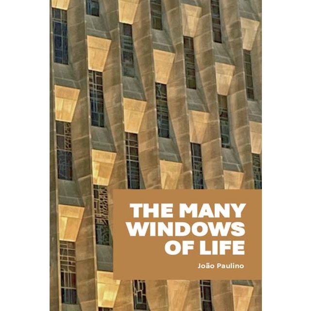 The many windows of life 1