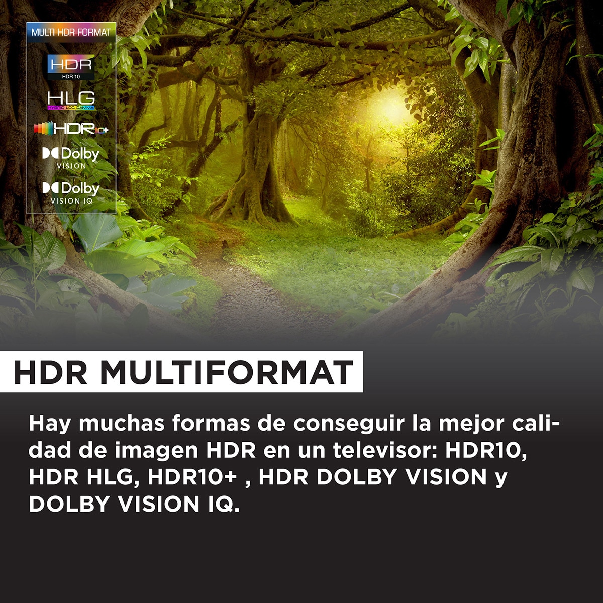 TV QD Mini LED 126 cm (50") TCL 50C805, 4K UHD 1300 nits, Smart Google TV Dolby Vision y Atmos, sonido Onkyo 2.1, Motion Clarity Pro de 144 Hz Titanio-5