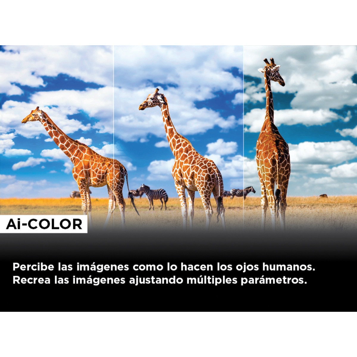 TV QD Mini LED 251 cm (85") TCL 85C845, 4K Ultra HD, Smart Google TV Dolby Vision y Atmos, sistema de sonido Onkyo 2.1, Motion Clarity Pro de 144 Hz Titanio-14