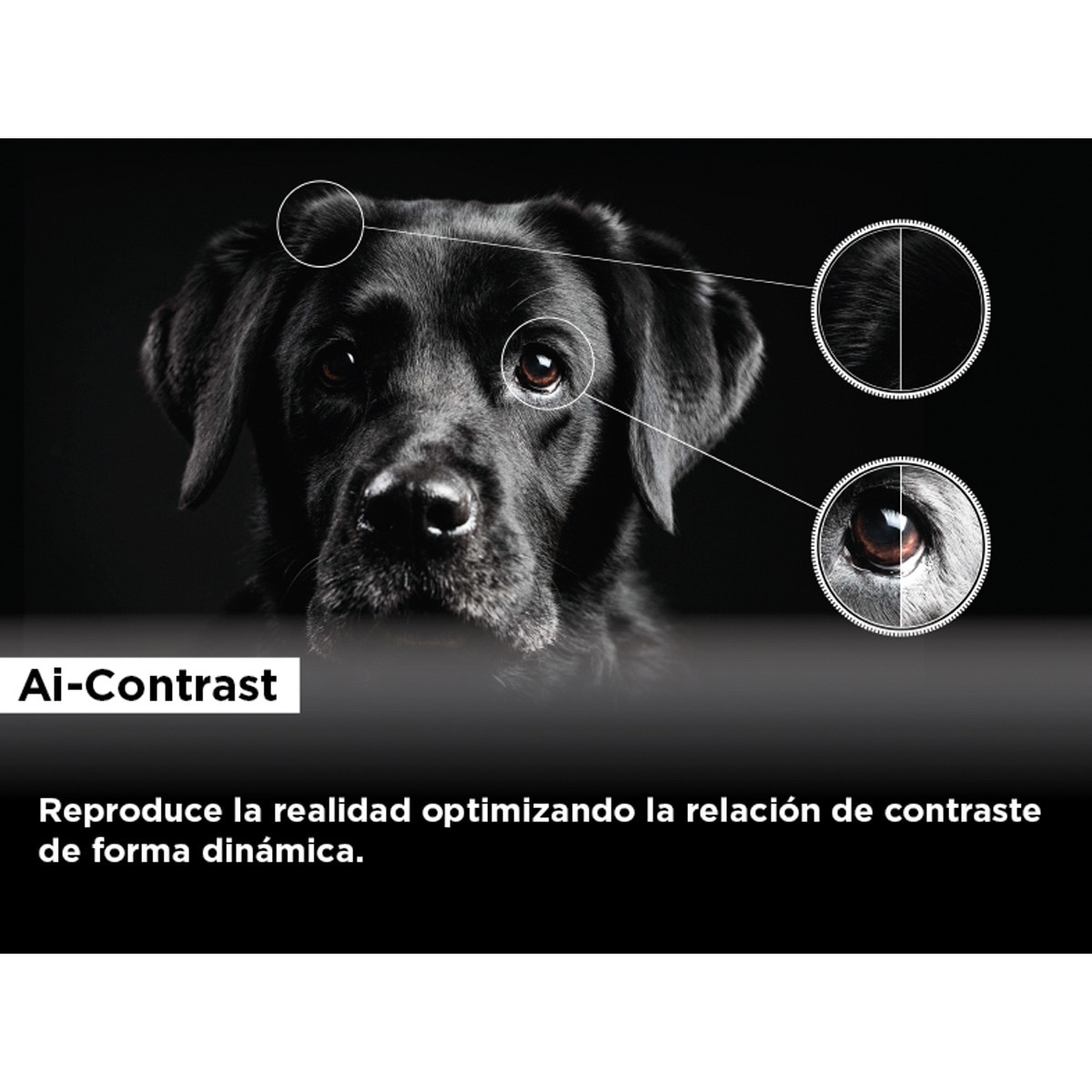 TV QD Mini LED 251 cm (85") TCL 85C845, 4K Ultra HD, Smart Google TV Dolby Vision y Atmos, sistema de sonido Onkyo 2.1, Motion Clarity Pro de 144 Hz Titanio-15