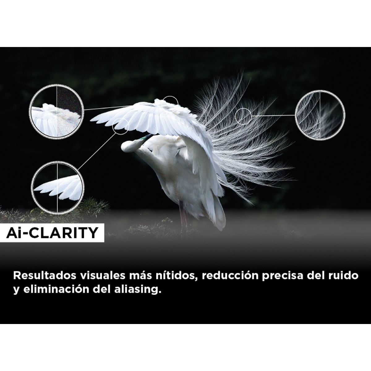 TV QD Mini LED 251 cm (85") TCL 85C845, 4K Ultra HD, Smart Google TV Dolby Vision y Atmos, sistema de sonido Onkyo 2.1, Motion Clarity Pro de 144 Hz Titanio-16