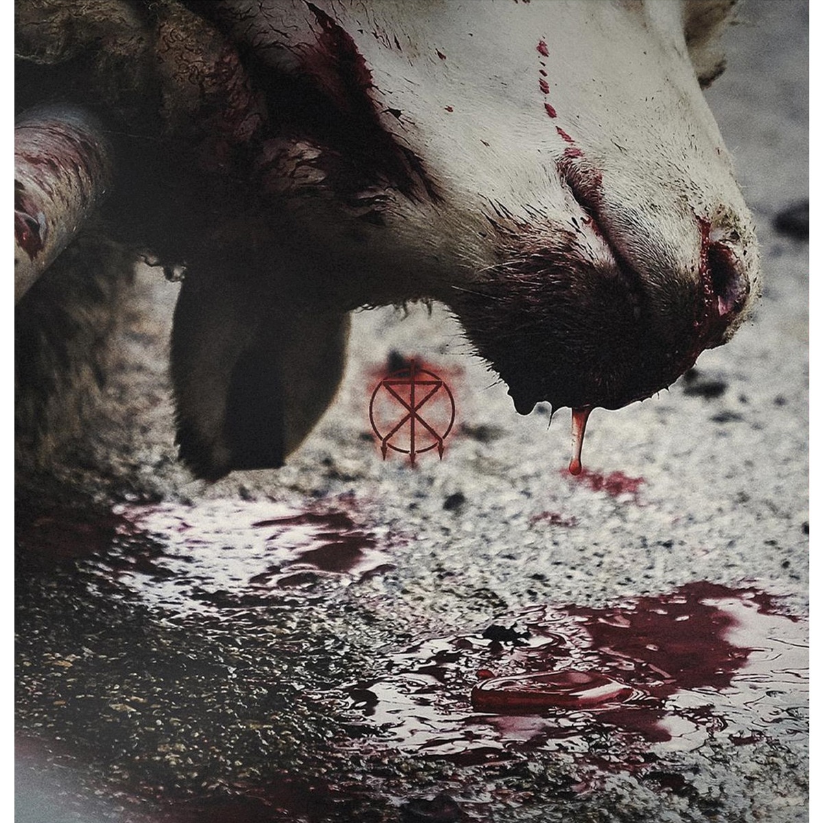 Imagem 0 de Director's cuts (Edição Color) (LP-Vinil)