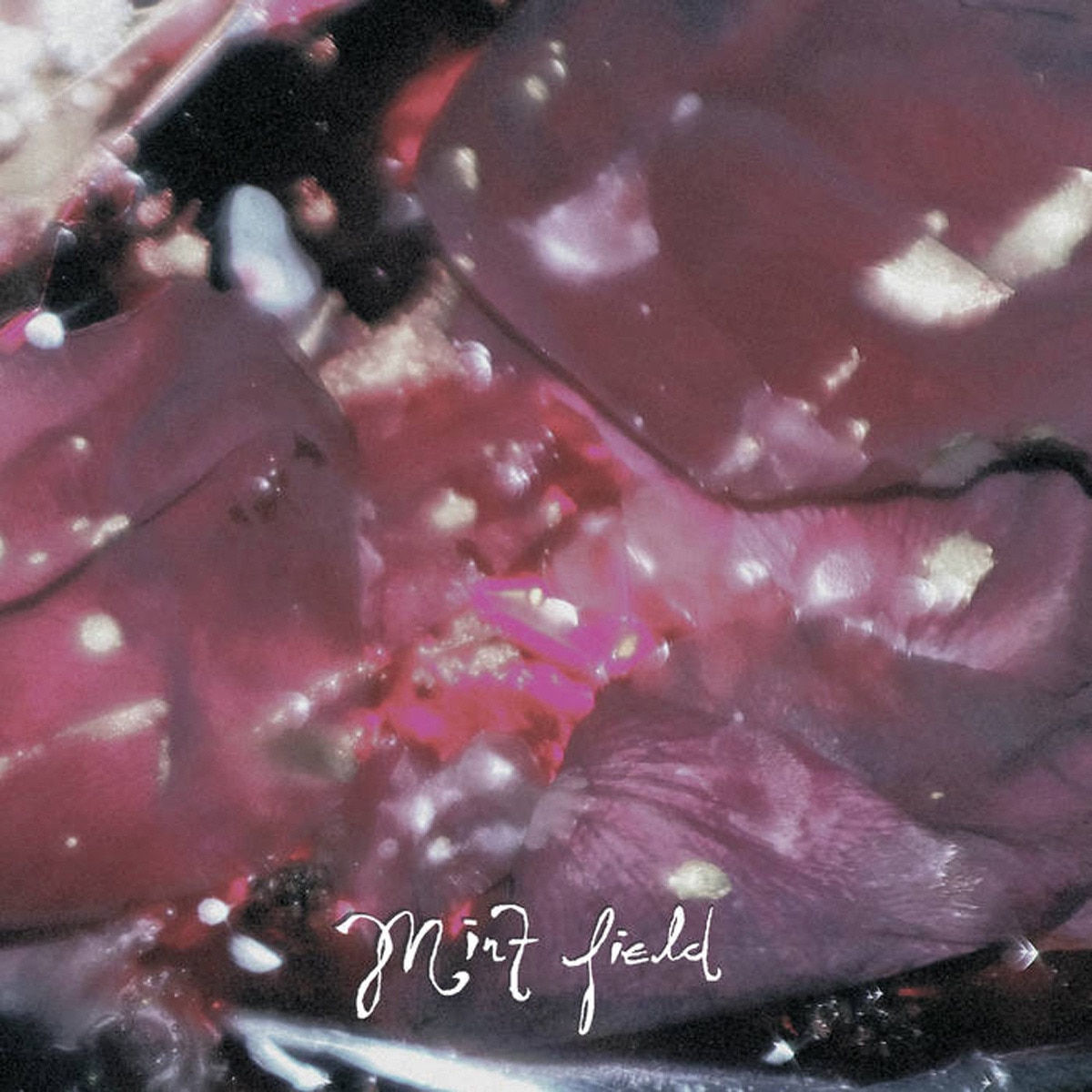 Imagem 0 de Aprender a ser (Edição Color) (LP-Vinil)