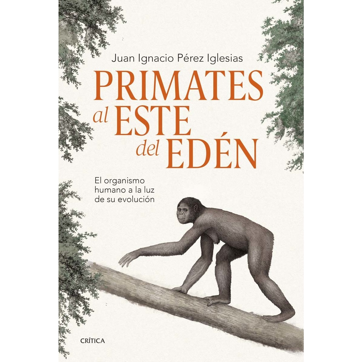 Imagem 0 de Primates al este del Edén: El organismo humano a la luz de su evolución (Capa mole com abas)