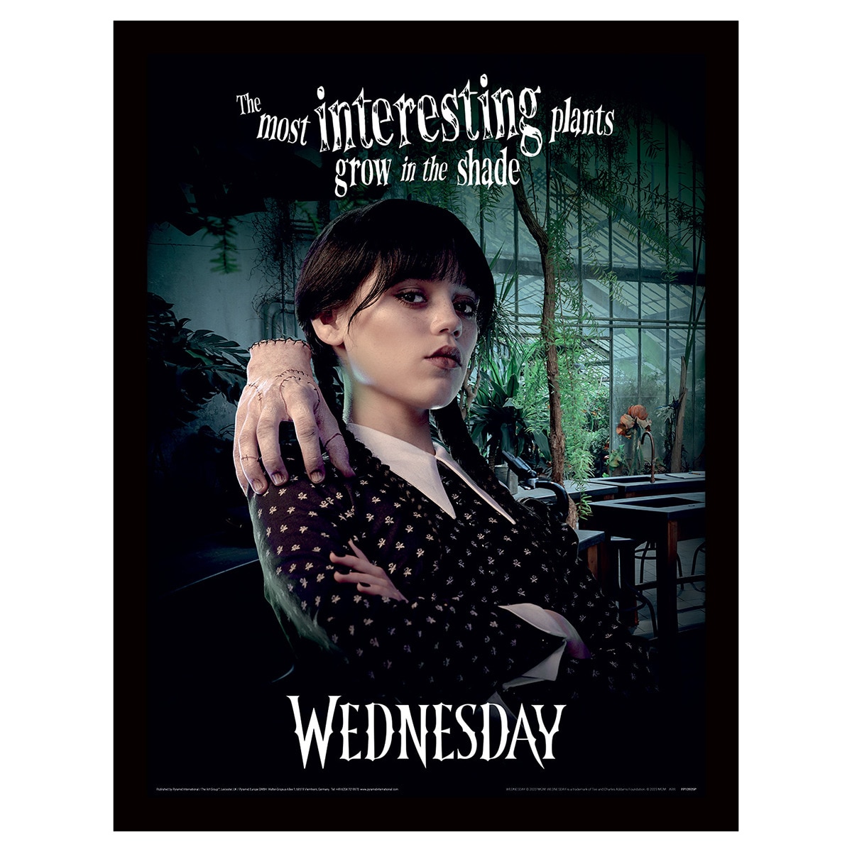 Imagem 0 de Lâmina com Marco Interesting Quarta-feira